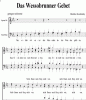 scores