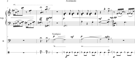 Fernández Toro, Cristian Felipe: Carl Orff Competition 2018 Avernáculo (A la Chilena) - Solo>bajo+Perc+Arp:2