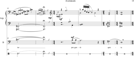 Fernández Toro, Cristian Felipe: Carl Orff Competition 2018 Avernáculo (A la Chilena) - Solo>bajo+Perc+Arp:13